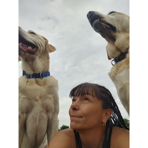 Lab Lounge Bundle - Picture 9 of 14